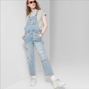 Wild Fable Distressed Overalls